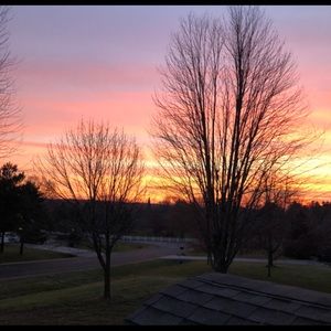 Meet your Posher, Audrey